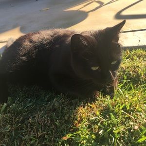 Meet your Posher, Jaime